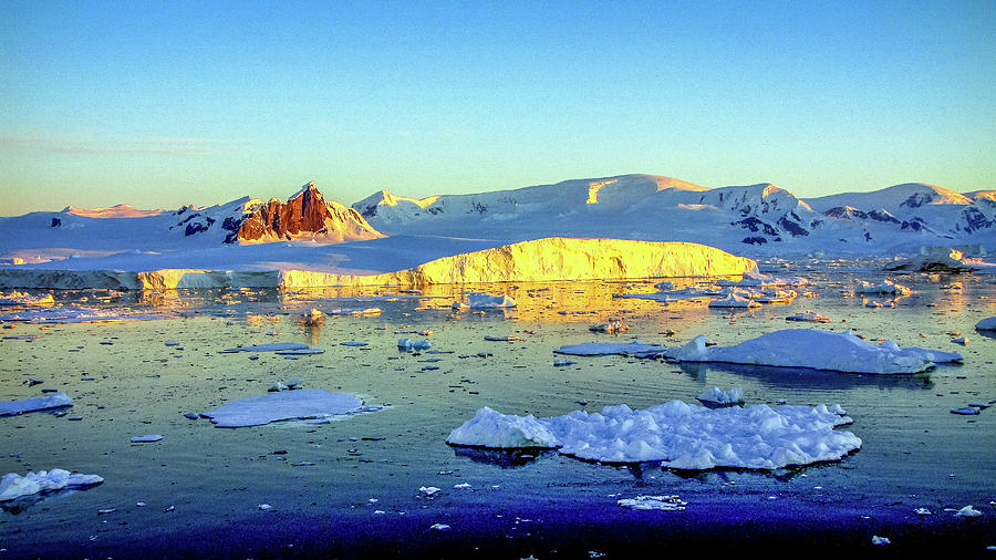 Antarctica #62 Photograph by Paul James Bannerman