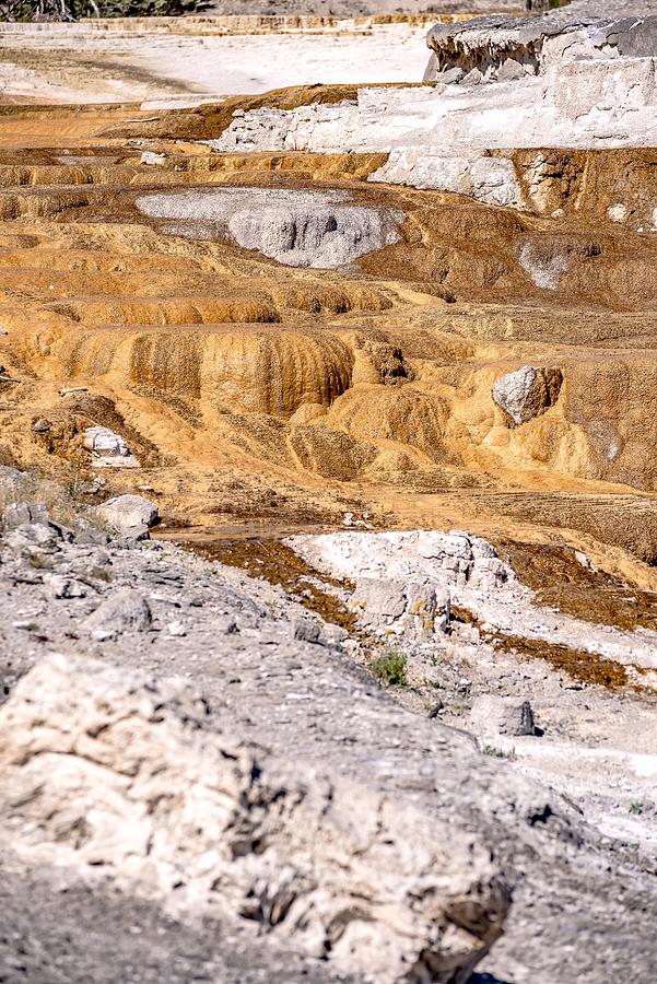 Travertine Terraces, Mammoth Hot Springs, Yellowstone #62 Photograph by Alex Grichenko