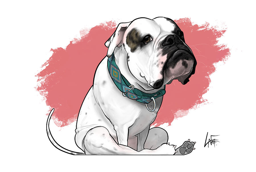 English Bulldog Drawing - 6249 Marcus by John LaFree