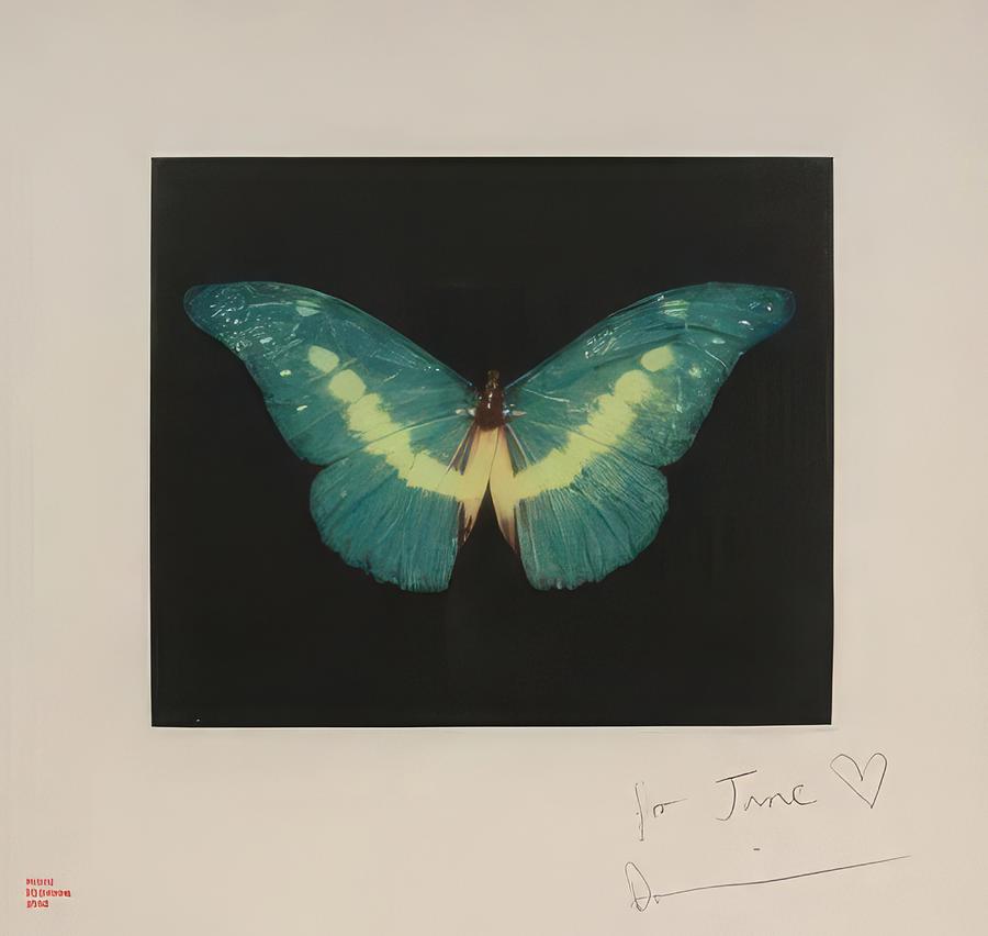 Damien Hirst Painting by Hodaifa Hamim - Fine Art America