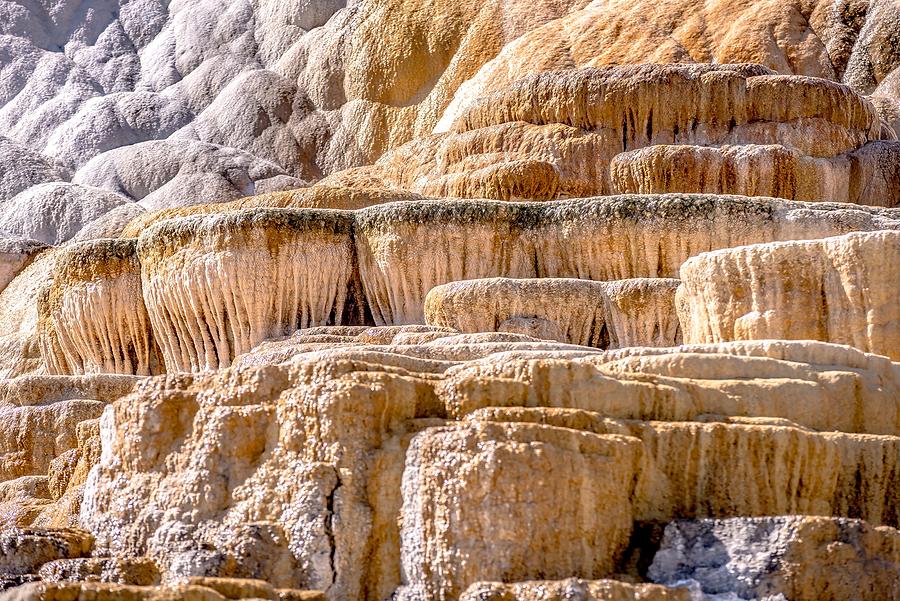 Travertine Terraces, Mammoth Hot Springs, Yellowstone #63 Photograph by Alex Grichenko