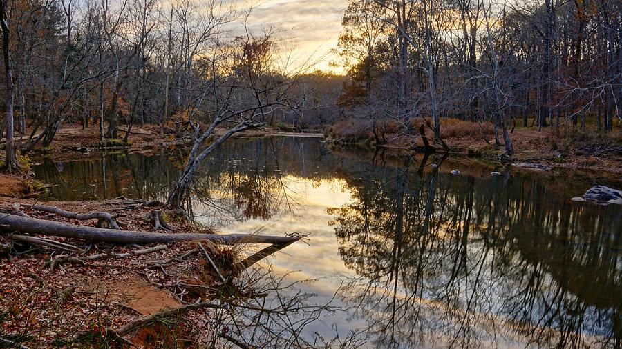 Fallen Leaves of North Carolina Photograph by Montez Kerr