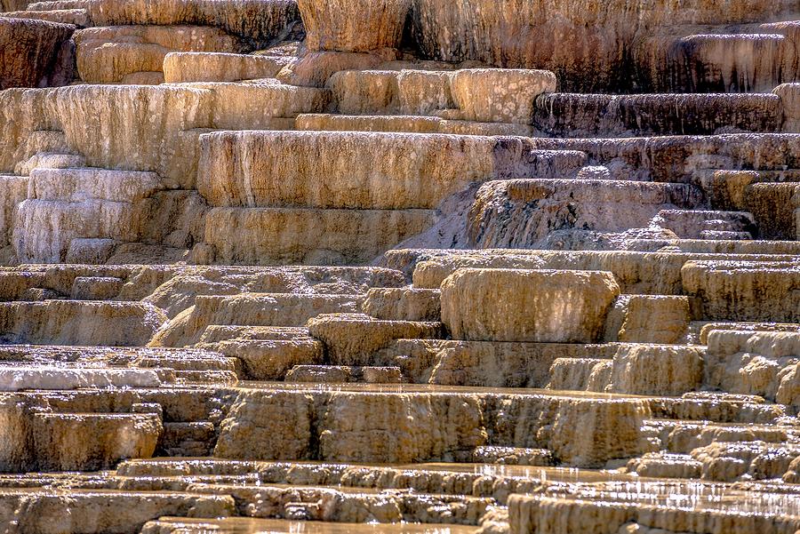 Travertine Terraces, Mammoth Hot Springs, Yellowstone #64 Photograph by Alex Grichenko