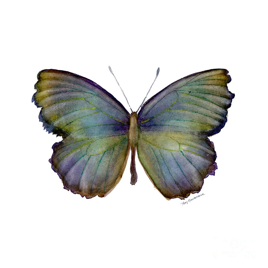 65 Moonglow Butterfly Painting by Amy Kirkpatrick