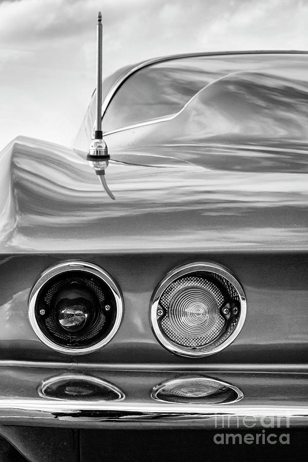 66 Stingray Tail #66 Photograph by Dennis Hedberg