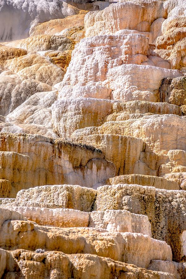 Travertine Terraces, Mammoth Hot Springs, Yellowstone #66 Photograph by Alex Grichenko