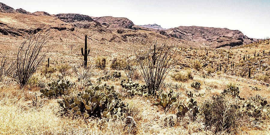 Apache Trail Scenic Drive View Photograph