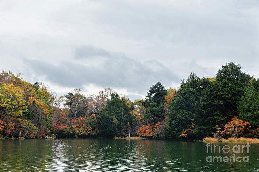 Fall Colors Of Nikko Japan Photograph