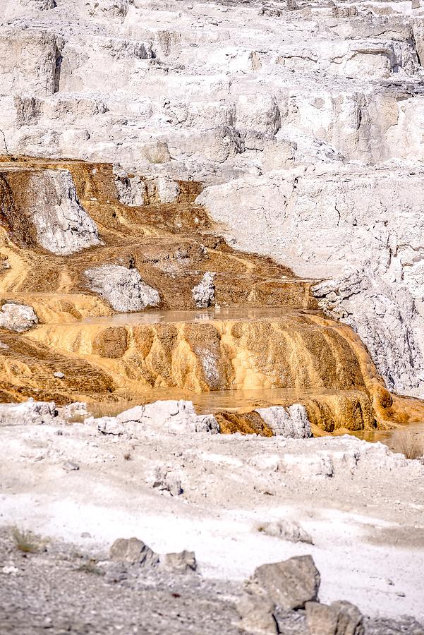 Travertine Terraces, Mammoth Hot Springs, Yellowstone #67 Photograph by Alex Grichenko