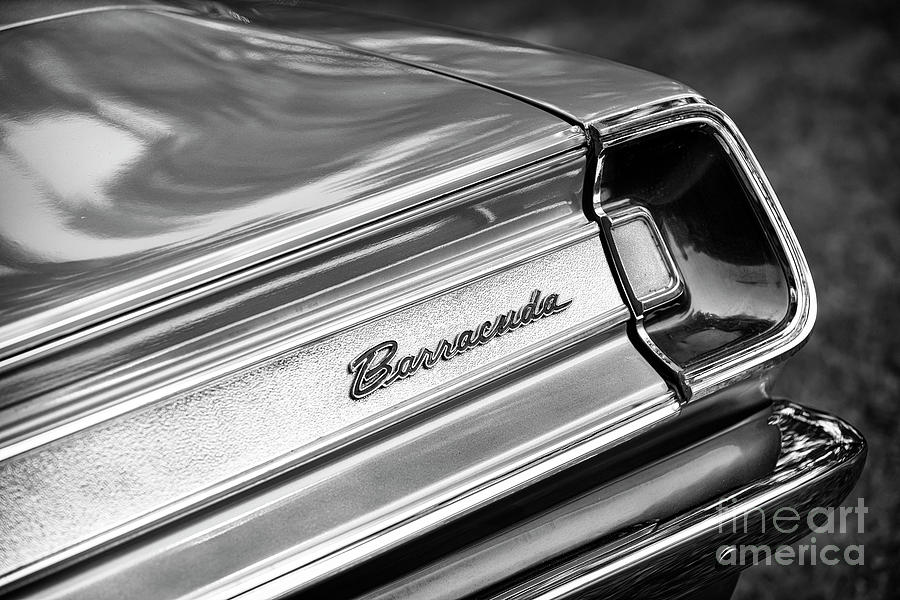 Vintage Photograph - 67 Barracuda #67 by Dennis Hedberg