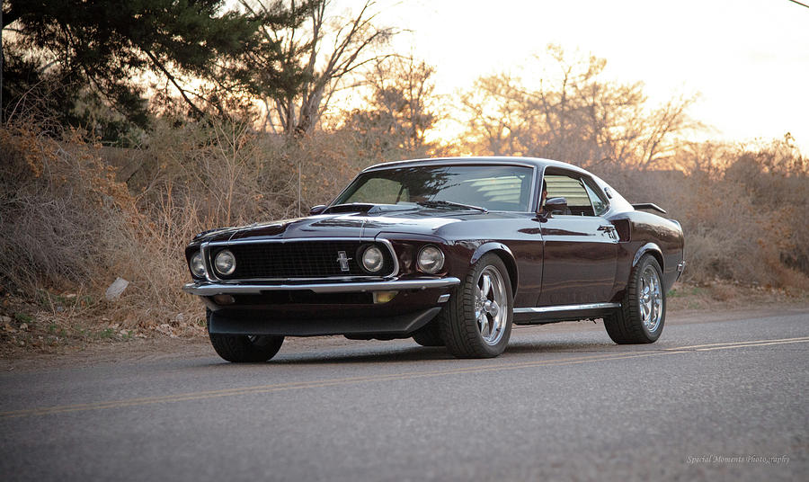 69 Mustang Mach 1 Photograph by Special Moments - Fine Art America