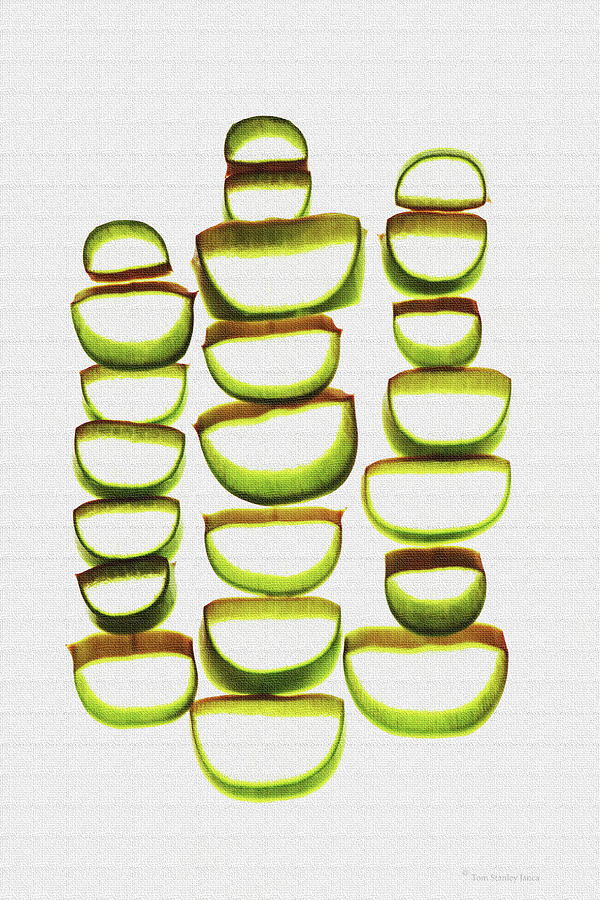 Aloe Vera Slices Abstract #7 Digital Art by Tom Janca