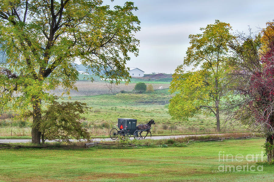 Amish Buggy on Rural Indiana Road #7 Photograph by David Arment