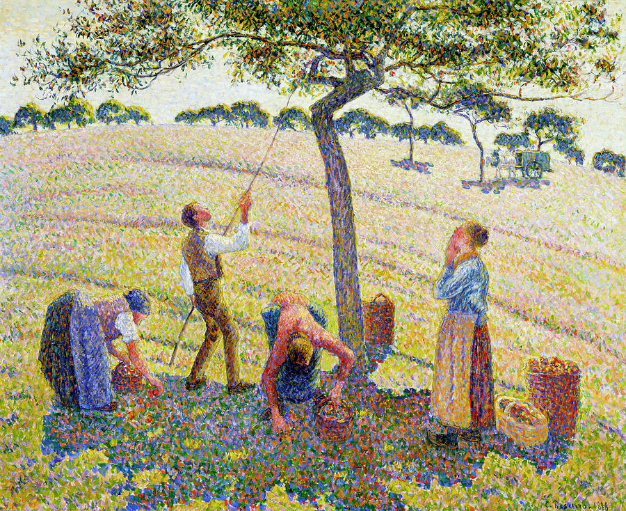 Apple Harvest By Camille Pissarro Painting