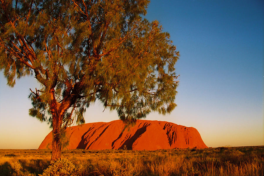 Australia Photograph by Claude Taylor Australia Photograph by Claude Taylor