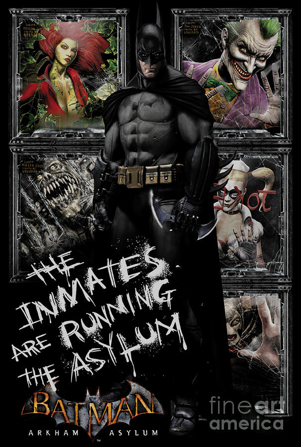 Batman Arkham Asylum Wall Mural | Buy online at