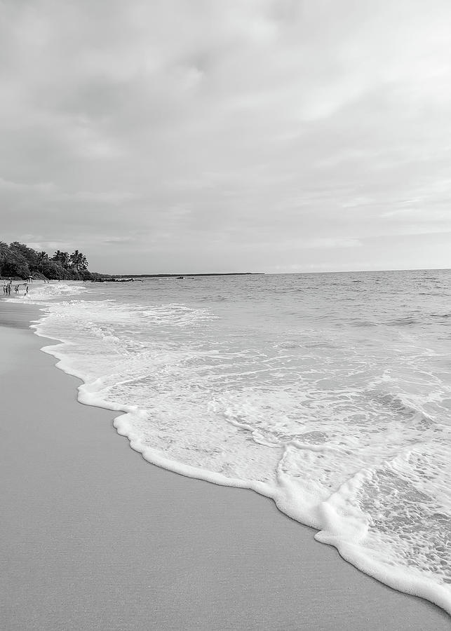 Beach In Black And White #7 Photograph by Photo Hunter