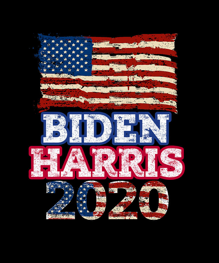 Biden Harris Joe Biden Kamala Harris Drawing By Bruno Fine Art America