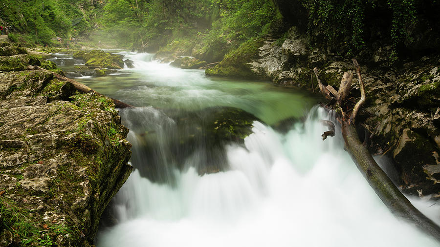 Blejski Vintgar gorge, Gorje, near Bled, Slovenia #7 Photograph by Ian Middleton