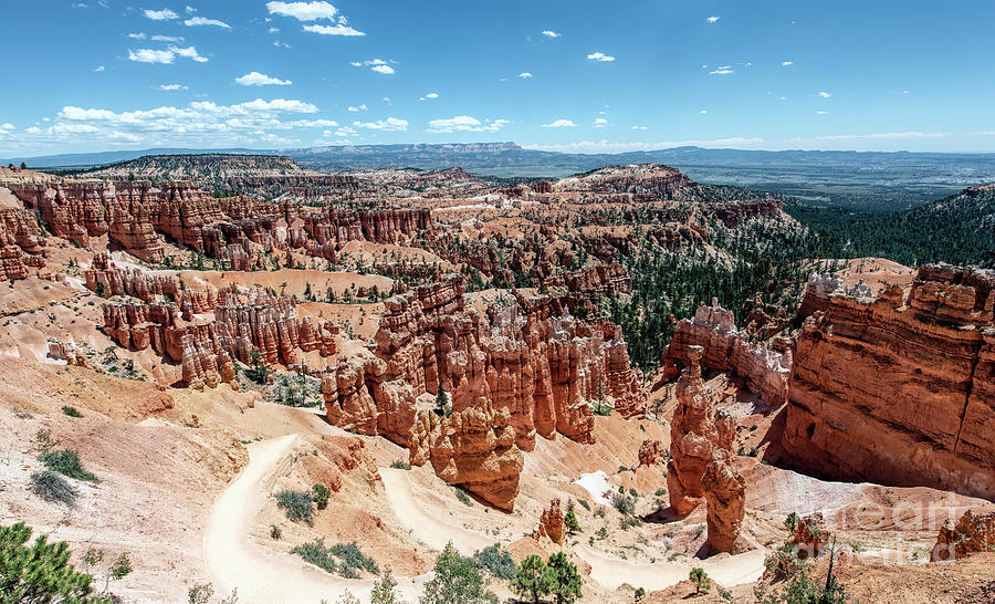 Bryce Canyon National Park  #7 Photograph by David Oppenheimer