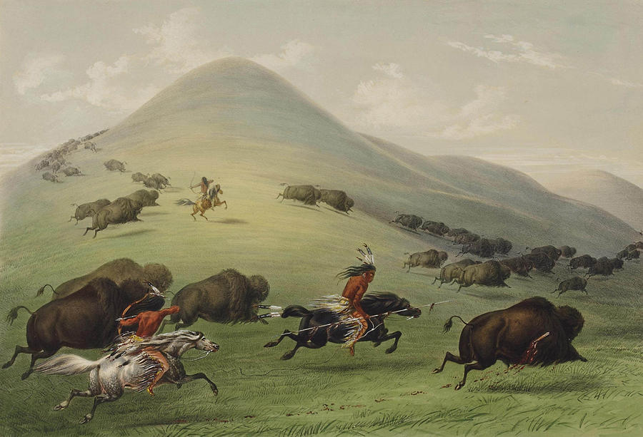 George Catlin Painting - Buffalo hunt by George Catlin by Mango Art