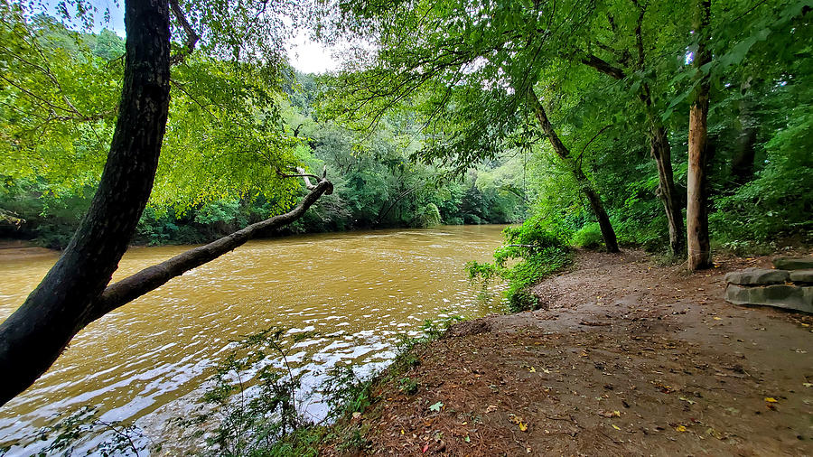 Cahaba River Walk Park #7 Photograph by Kenny Glover