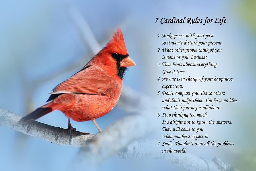 7 Cardinal Rules for Life Mixed Media by Christina Rollo