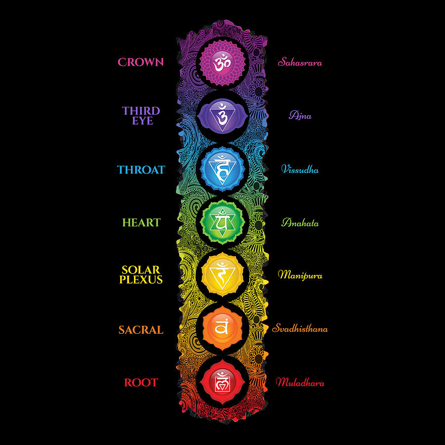 7 Chakra Symbols - Names - 62 Digital Art by Serena King