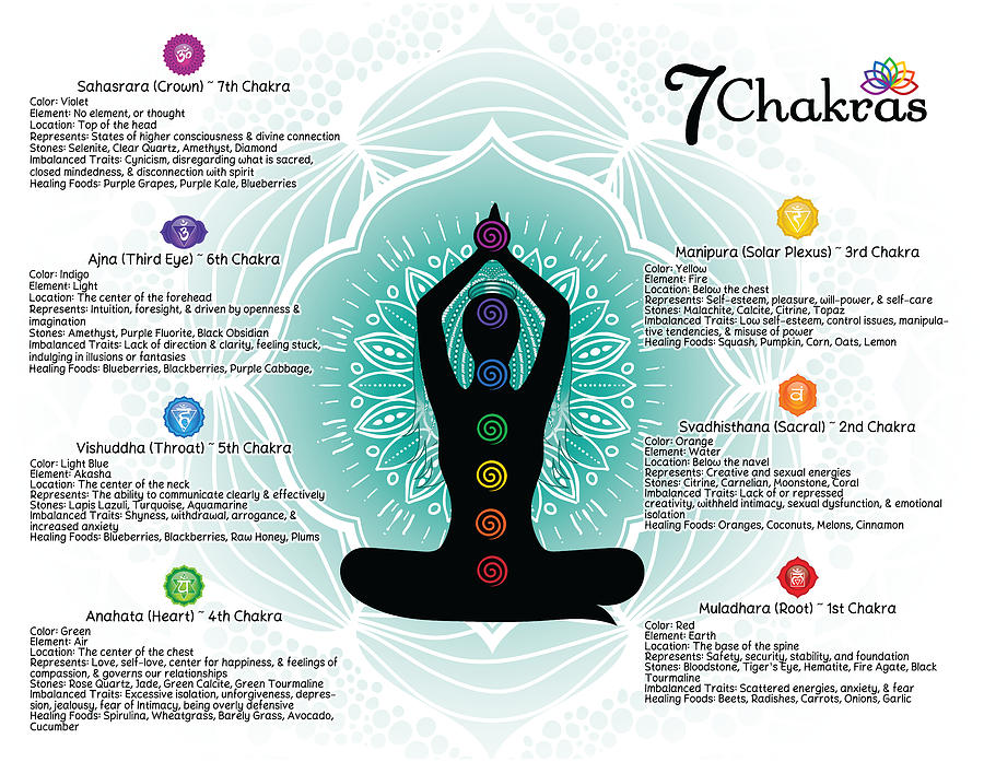 7 Chakras Chart Poster #84 Digital Art by Serena King