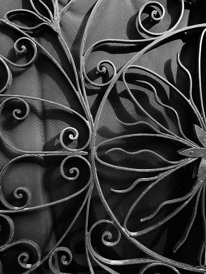 Charleston Wrought Iron Garden Gate in Detail, South Carolina #7 Photograph by Dawna Moore Photography
