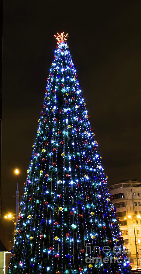 Christmas tree, Moscow #7 Photograph by Irina Afonskaya