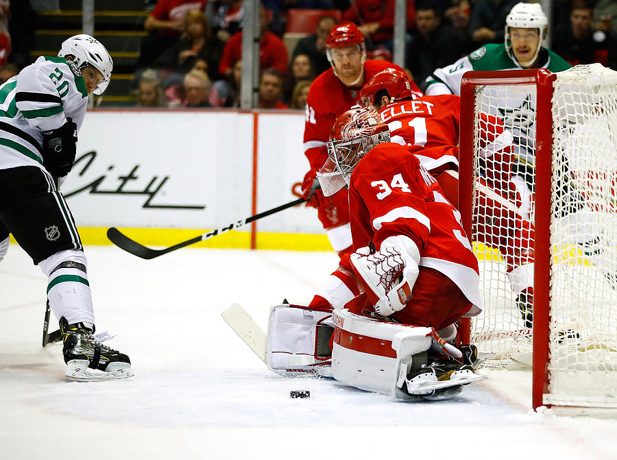 Dallas Stars v Detroit Red Wings #7 Photograph by Gregory Shamus