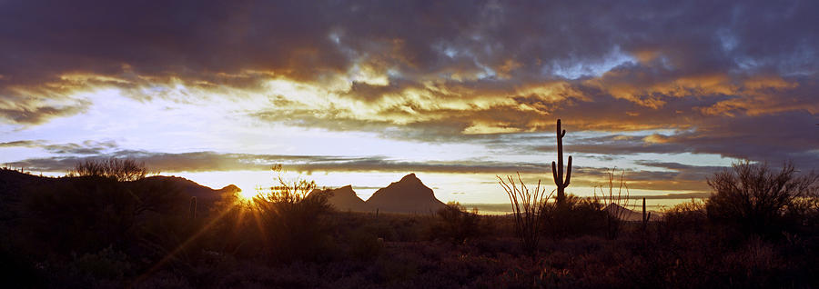 Desert landscape #7 Photograph by KingWu