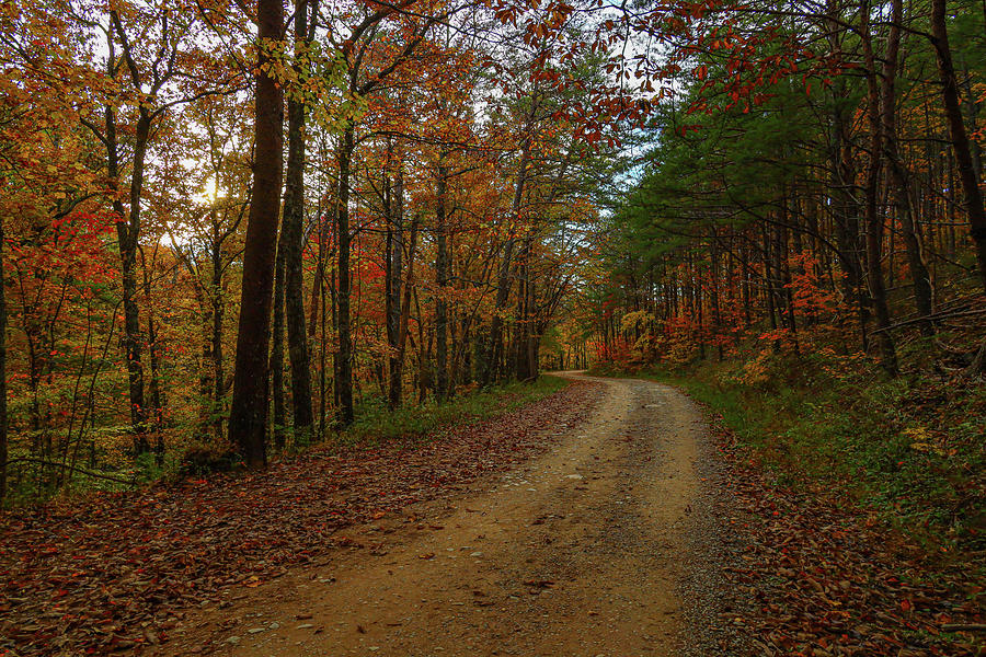 Fall 2021 Photograph by Melissa Traub | Fine Art America