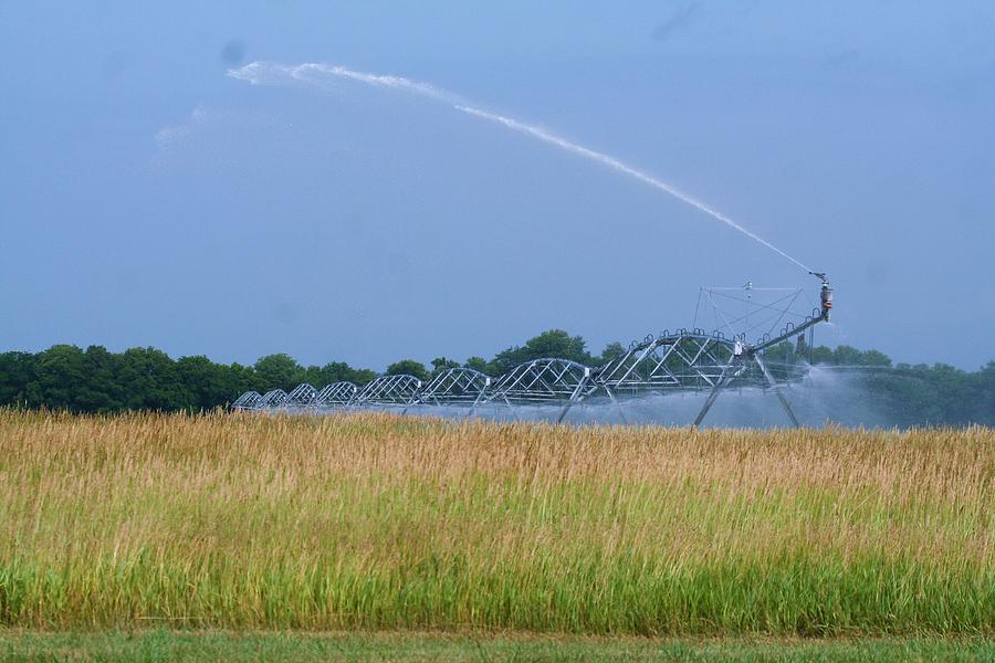 Field Sprinkler Photograph