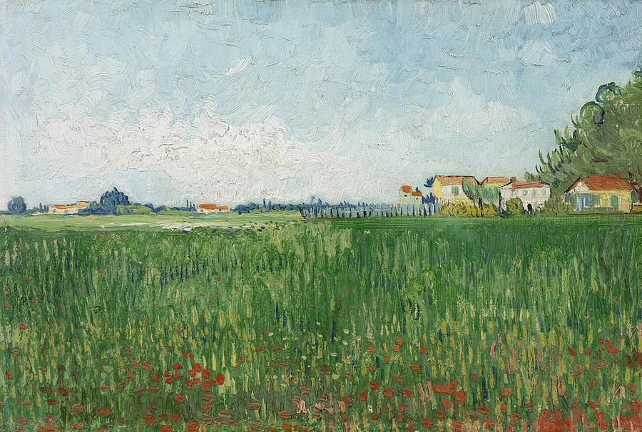Field With Poppies By Vincent Van Gogh Painting