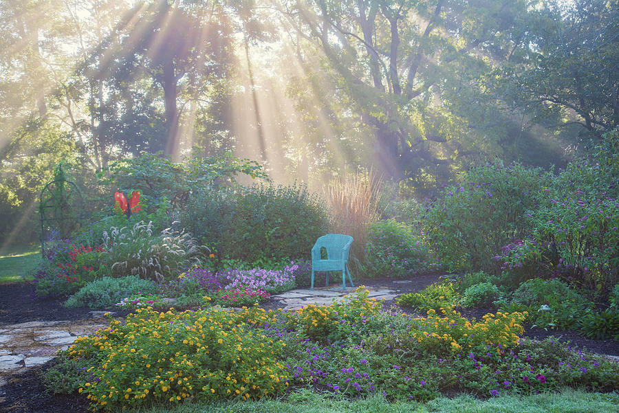 https://images.fineartamerica.com/images/artworkimages/mediumlarge/3/7-foggy-flower-garden-daybreak-imagery.jpg