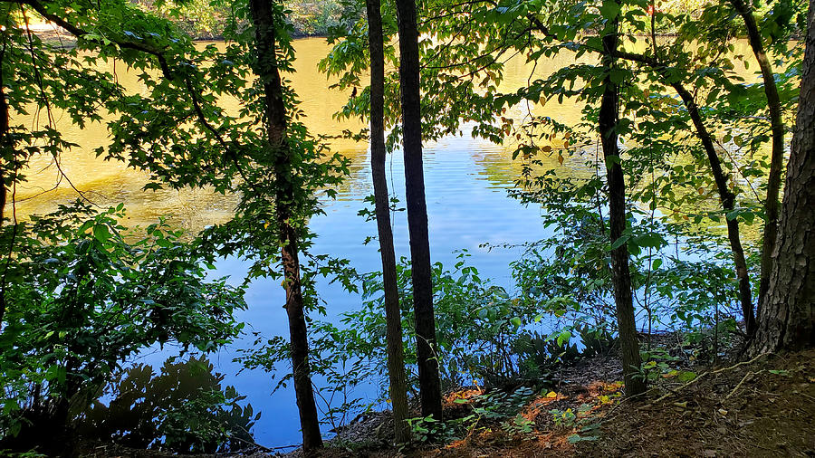 Georgetown Lake Park #7 Photograph by Kenny Glover