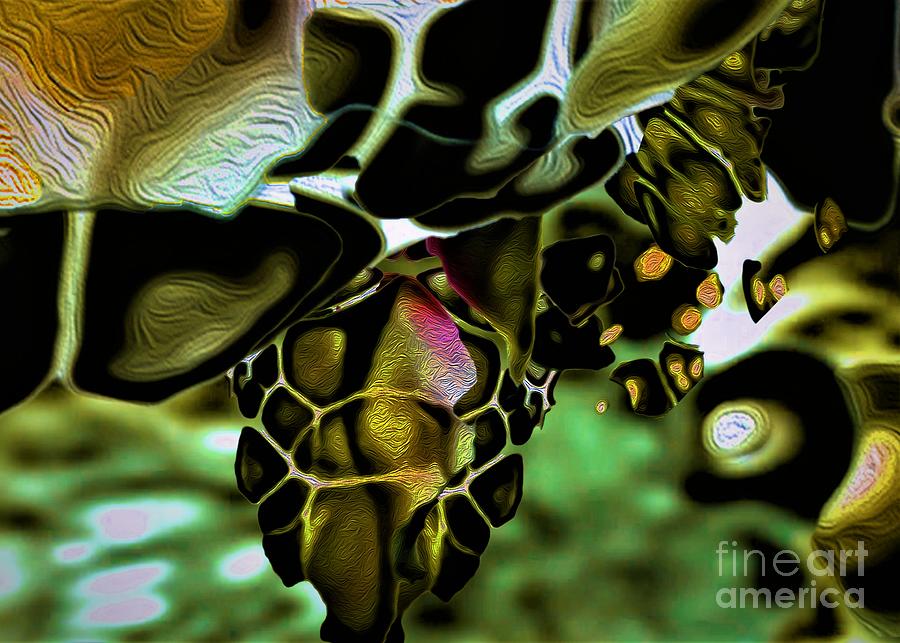 Golden Turtle 6 Digital Art by Aldane Wynter