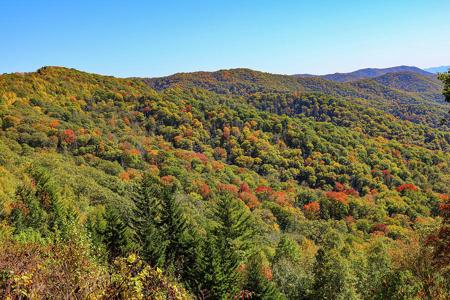 Great Smoky Mountain National Park Photograph by Melissa Traub - Pixels