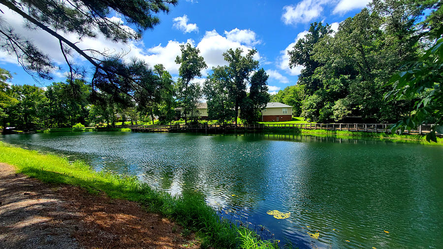 Harvey Park Photograph by Kenny Glover Fine Art America