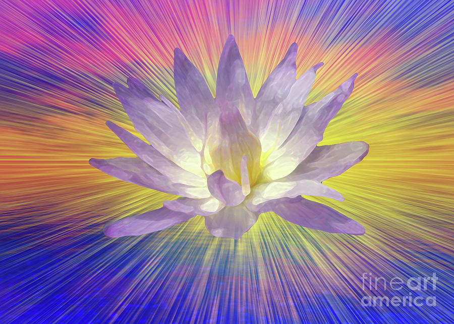 Lotus Flower #7 Digital Art by Bruce Rolff