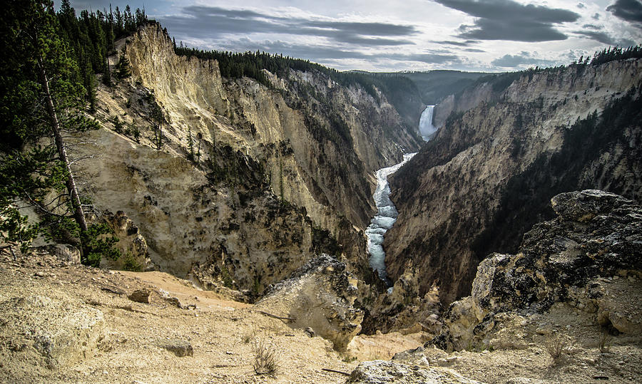 Lower falls of the yellowstone national park from artist point a #7 Photograph by Alex Grichenko