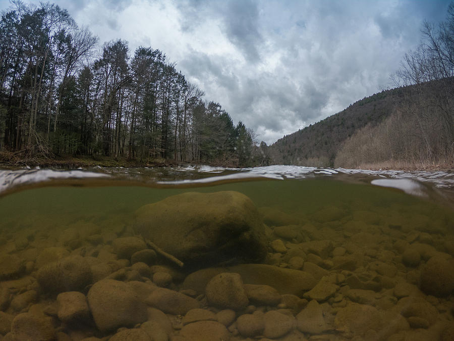 Loyalsock Creek Photograph by Michael Kinney | Fine Art America