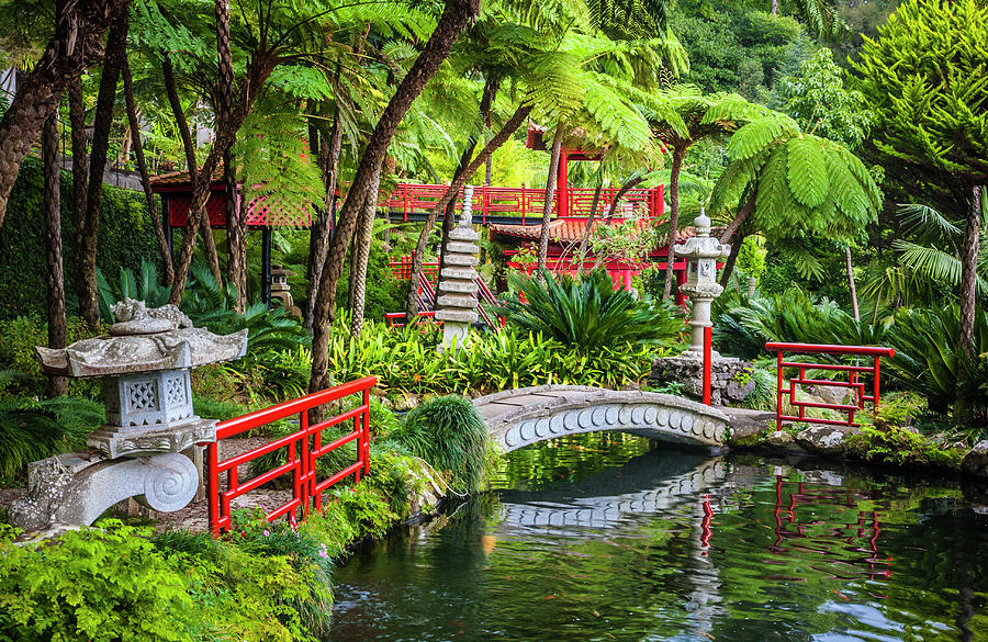 Madeira Botanical Garden Photograph by Halina Jasinska - Fine Art America