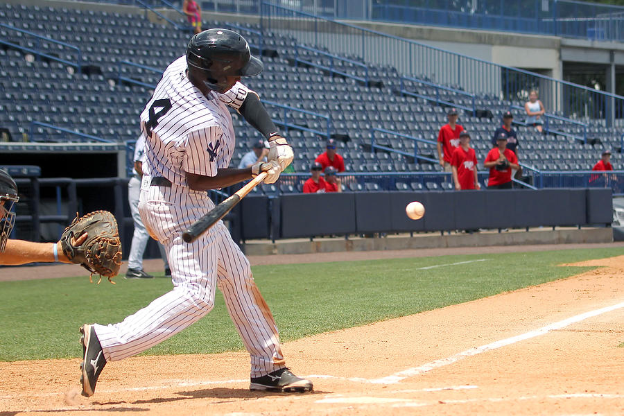 MiLB: APR 30 Florida State League - Tortugas at Yankees #7 Photograph by Icon Sportswire