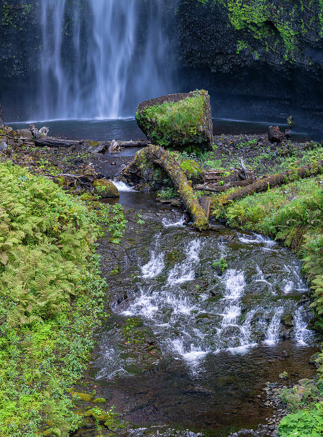 Multnomah Falls Oregon #7 Photograph by Tommy Farnsworth
