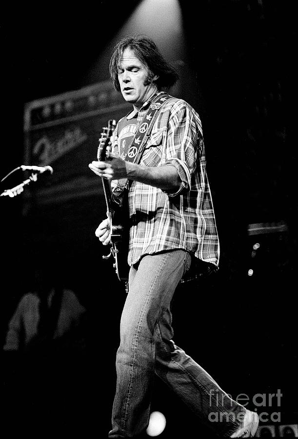 Neil Young Photograph By Concert Photos - Fine Art America