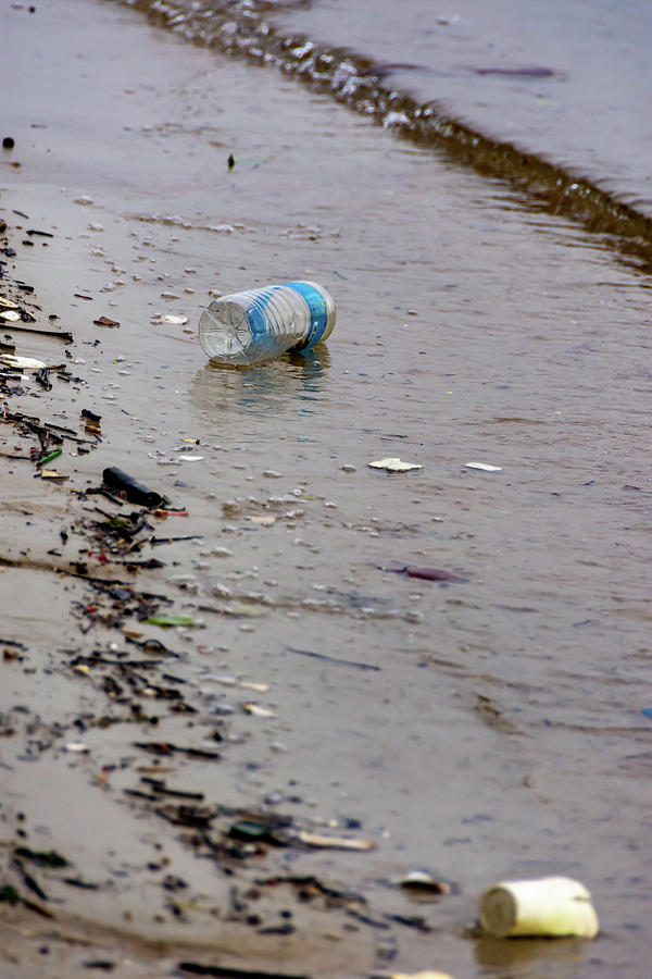 Plastic water bottle trash on a bay polluting the ocean. Plastic #4 by Bill  Roque