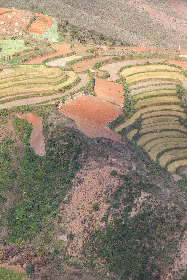 Red soil farmlands in Dongchuan district #7 Photograph by MOAimage